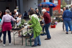 Pflanzentauschtag-2018